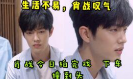 刘诗祺吃瓜爆料图片高清,高清瓜图揭秘娱乐圈幕后真相